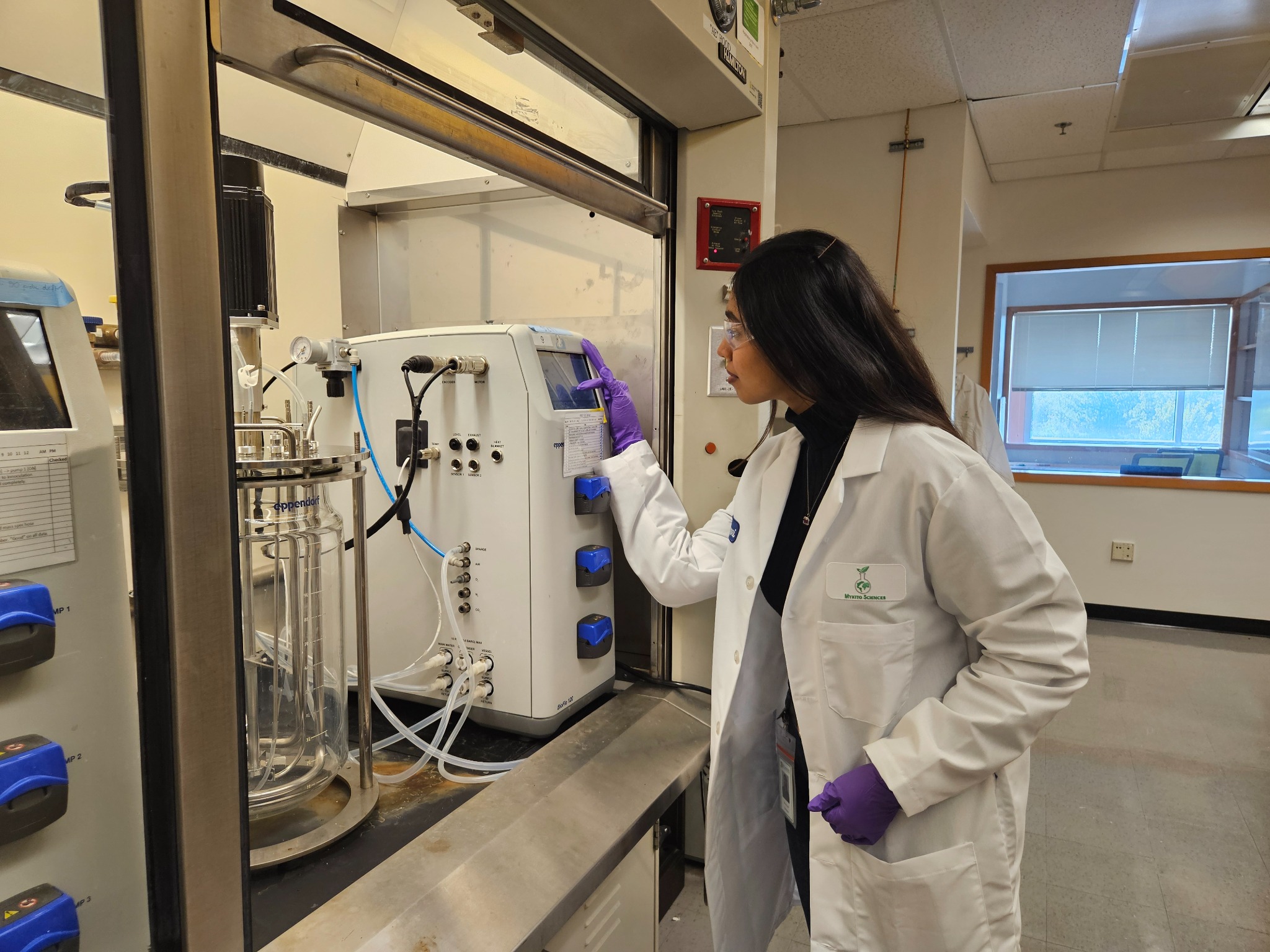 Mykito scientist operating a laboratory bioreactor